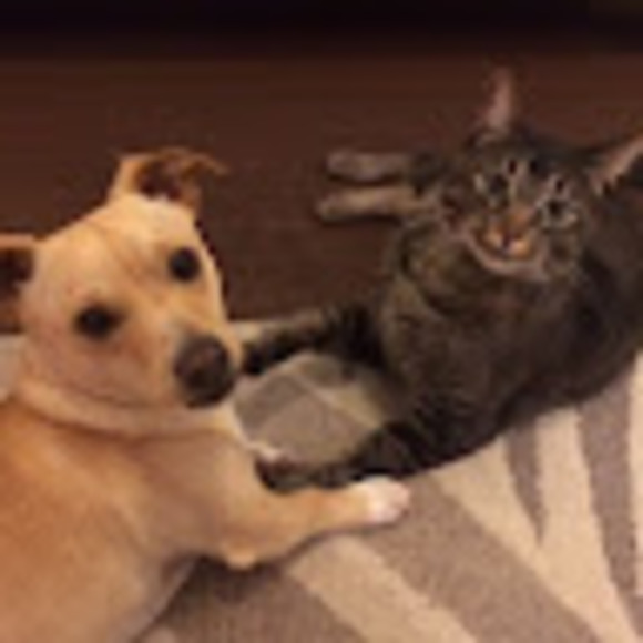 Meet your Posher, Misuzu - Picture 1 of 1